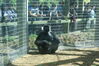 Filename=20120929_141.jpg
Filesize=296KiB
Dimensions=1023x685
Date added=Mar 24, 2013 20120929_141.jpg