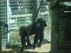 Filename=20120929_142.jpg
Filesize=192KiB
Dimensions=1024x768
Date added=Mar 24, 2013 20120929_142.jpg