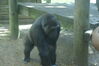 Filename=20120929_143.jpg
Filesize=137KiB
Dimensions=1023x685
Date added=Mar 24, 2013 20120929_143.jpg