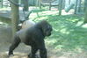 Filename=20120929_144.jpg
Filesize=163KiB
Dimensions=1023x685
Date added=Mar 24, 2013 20120929_144.jpg