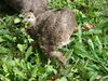 Filename=20120929_147.jpg
Filesize=243KiB
Dimensions=1024x768
Date added=Mar 24, 2013 20120929_147.jpg