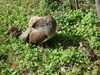 Filename=20120929_150.jpg
Filesize=340KiB
Dimensions=1024x768
Date added=Mar 24, 2013 20120929_150.jpg