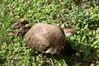 Filename=20120929_152.jpg
Filesize=304KiB
Dimensions=1023x685
Date added=Mar 24, 2013 20120929_152.jpg