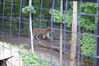 Filename=20120929_153.jpg
Filesize=238KiB
Dimensions=1023x685
Date added=Mar 24, 2013 20120929_153.jpg