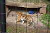 Filename=20120929_154.jpg
Filesize=200KiB
Dimensions=1023x685
Date added=Mar 24, 2013 20120929_154.jpg
