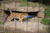 Filename=20120929_155.jpg
Filesize=229KiB
Dimensions=1023x685
Date added=Mar 24, 2013 20120929_155.jpg