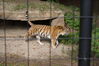 Filename=20120929_156.jpg
Filesize=199KiB
Dimensions=1023x685
Date added=Mar 24, 2013 20120929_156.jpg