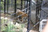 Filename=20120929_157.jpg
Filesize=282KiB
Dimensions=1023x685
Date added=Mar 24, 2013 20120929_157.jpg