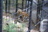 Filename=20120929_158.jpg
Filesize=262KiB
Dimensions=1023x685
Date added=Mar 24, 2013 20120929_158.jpg