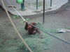 Filename=20120929_163.jpg
Filesize=173KiB
Dimensions=1024x768
Date added=Mar 24, 2013 20120929_163.jpg