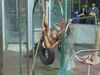 Filename=20120929_165.jpg
Filesize=153KiB
Dimensions=1024x768
Date added=Mar 24, 2013 20120929_165.jpg