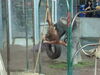 Filename=20120929_166.jpg
Filesize=156KiB
Dimensions=1024x768
Date added=Mar 24, 2013 20120929_166.jpg