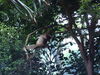 Filename=20120929_167.jpg
Filesize=217KiB
Dimensions=1024x768
Date added=Mar 24, 2013 20120929_167.jpg