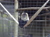 Filename=20120929_168.jpg
Filesize=143KiB
Dimensions=1024x768
Date added=Mar 24, 2013 20120929_168.jpg