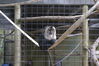 Filename=20120929_169.jpg
Filesize=160KiB
Dimensions=1023x685
Date added=Mar 24, 2013 20120929_169.jpg