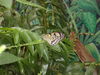 Filename=20120929_173.jpg
Filesize=166KiB
Dimensions=1024x768
Date added=Mar 24, 2013 20120929_173.jpg