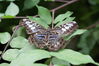 Filename=20120929_174.jpg
Filesize=143KiB
Dimensions=1023x685
Date added=Mar 24, 2013 20120929_174.jpg