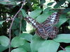 Filename=20120929_175.jpg
Filesize=152KiB
Dimensions=1024x768
Date added=Mar 24, 2013 20120929_175.jpg
