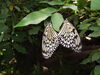 Filename=20120929_176.jpg
Filesize=142KiB
Dimensions=1024x768
Date added=Mar 24, 2013 20120929_176.jpg