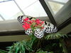 Filename=20120929_178.jpg
Filesize=137KiB
Dimensions=1024x768
Date added=Mar 24, 2013 20120929_178.jpg