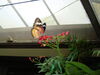 Filename=20120929_179.jpg
Filesize=114KiB
Dimensions=1024x768
Date added=Mar 24, 2013 20120929_179.jpg