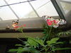 Filename=20120929_180.jpg
Filesize=157KiB
Dimensions=1024x768
Date added=Mar 24, 2013 20120929_180.jpg