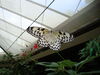 Filename=20120929_181.jpg
Filesize=131KiB
Dimensions=1024x768
Date added=Mar 24, 2013 20120929_181.jpg