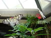 Filename=20120929_182.jpg
Filesize=173KiB
Dimensions=1024x768
Date added=Mar 24, 2013 20120929_182.jpg