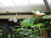 Filename=20120929_183.jpg
Filesize=181KiB
Dimensions=1024x768
Date added=Mar 24, 2013 20120929_183.jpg