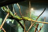 Filename=20120929_184.jpg
Filesize=184KiB
Dimensions=1023x685
Date added=Mar 24, 2013 20120929_184.jpg