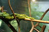 Filename=20120929_185.jpg
Filesize=171KiB
Dimensions=1023x685
Date added=Mar 24, 2013 20120929_185.jpg