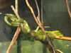 Filename=20120929_186.jpg
Filesize=157KiB
Dimensions=1024x768
Date added=Mar 24, 2013 20120929_186.jpg