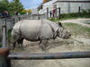 Filename=20120929_187.jpg
Filesize=199KiB
Dimensions=1024x768
Date added=Mar 24, 2013 20120929_187.jpg