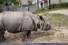 Filename=20120929_188.jpg
Filesize=231KiB
Dimensions=1023x685
Date added=Mar 24, 2013 20120929_188.jpg