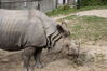 Filename=20120929_189.jpg
Filesize=230KiB
Dimensions=1023x685
Date added=Mar 24, 2013 20120929_189.jpg