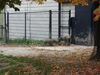 Filename=20120929_191.jpg
Filesize=195KiB
Dimensions=1024x768
Date added=Mar 24, 2013 20120929_191.jpg