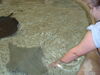 Filename=20120929_192.jpg
Filesize=151KiB
Dimensions=1024x768
Date added=Mar 24, 2013 20120929_192.jpg