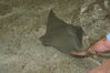 Filename=20120929_193.jpg
Filesize=186KiB
Dimensions=1023x685
Date added=Mar 24, 2013 20120929_193.jpg