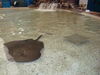 Filename=20120929_194.jpg
Filesize=173KiB
Dimensions=1024x768
Date added=Mar 24, 2013 20120929_194.jpg