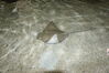 Filename=20120929_196.jpg
Filesize=196KiB
Dimensions=1023x685
Date added=Mar 24, 2013 20120929_196.jpg