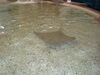 Filename=20120929_197.jpg
Filesize=181KiB
Dimensions=1024x768
Date added=Mar 24, 2013 20120929_197.jpg