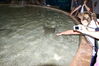 Filename=20120929_199.jpg
Filesize=214KiB
Dimensions=1023x685
Date added=Mar 24, 2013 20120929_199.jpg