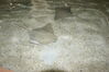 Filename=20120929_200.jpg
Filesize=198KiB
Dimensions=1023x685
Date added=Mar 24, 2013 20120929_200.jpg
