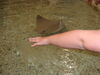 Filename=20120929_201.jpg
Filesize=154KiB
Dimensions=1024x768
Date added=Mar 24, 2013 20120929_201.jpg