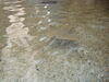 Filename=20120929_202.jpg
Filesize=180KiB
Dimensions=1024x768
Date added=Mar 24, 2013 20120929_202.jpg