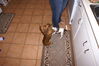 Filename=20121007_003.jpg
Filesize=156KiB
Dimensions=1023x685
Date added=Mar 24, 2013 20121007_003.jpg