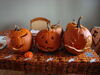 Filename=20121031_001.jpg
Filesize=139KiB
Dimensions=1024x768
Date added=Mar 24, 2013 20121031_001.jpg