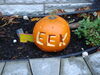Filename=20121031_006.jpg
Filesize=163KiB
Dimensions=1024x768
Date added=Mar 24, 2013 20121031_006.jpg