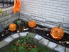 Filename=20121031_007.jpg
Filesize=170KiB
Dimensions=1024x768
Date added=Mar 24, 2013 20121031_007.jpg