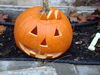 Filename=20121031_008.jpg
Filesize=145KiB
Dimensions=1024x768
Date added=Mar 24, 2013 20121031_008.jpg